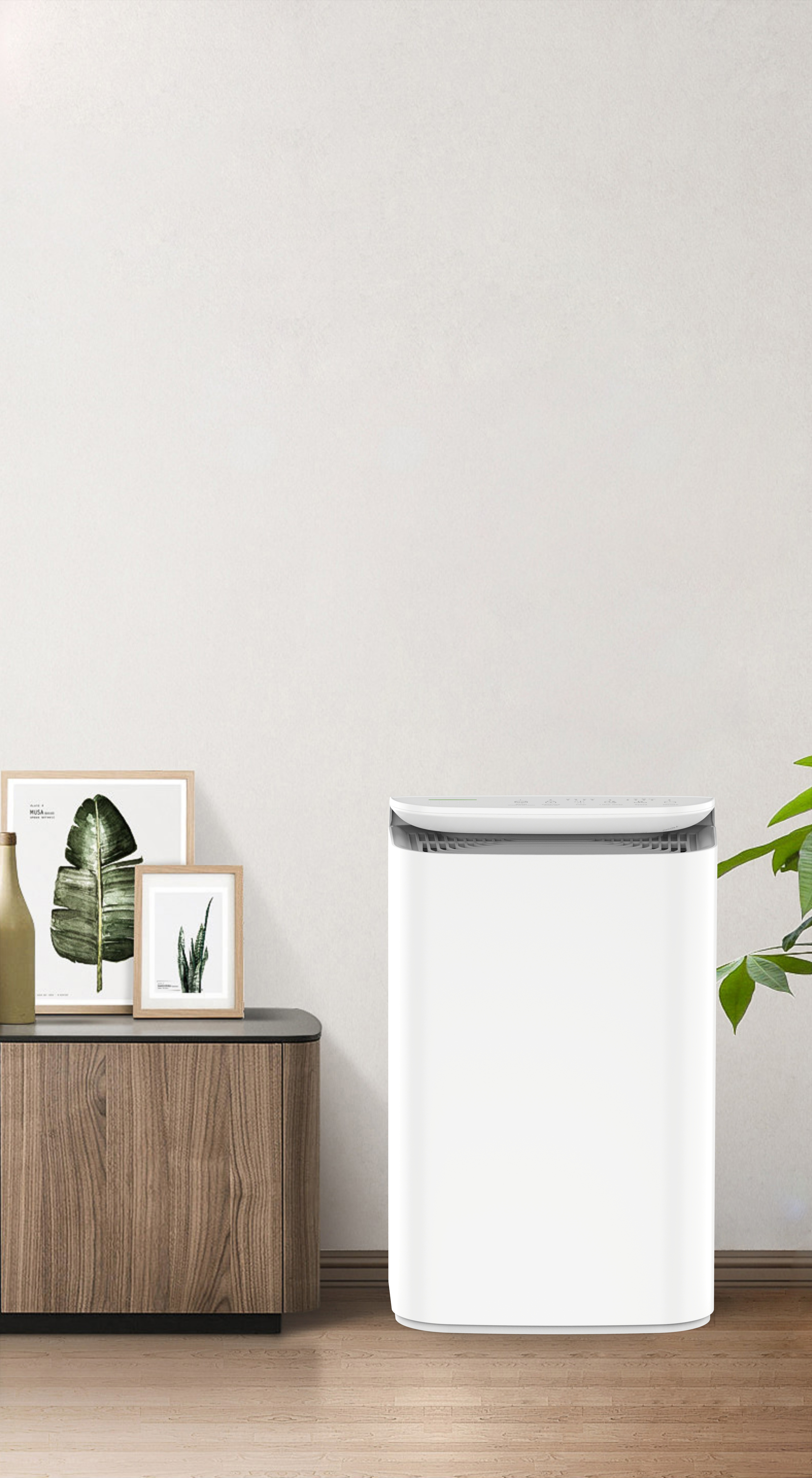 Oppgrader anionsteknologi Fersk pust fra skogen BKJ-16B